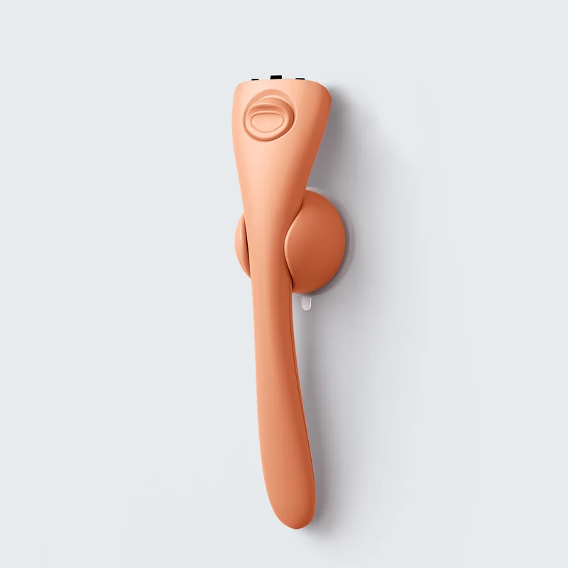 Handle and Holder