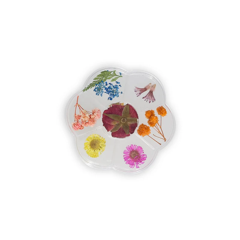 Décoration Nail Art Fleurs Séchées