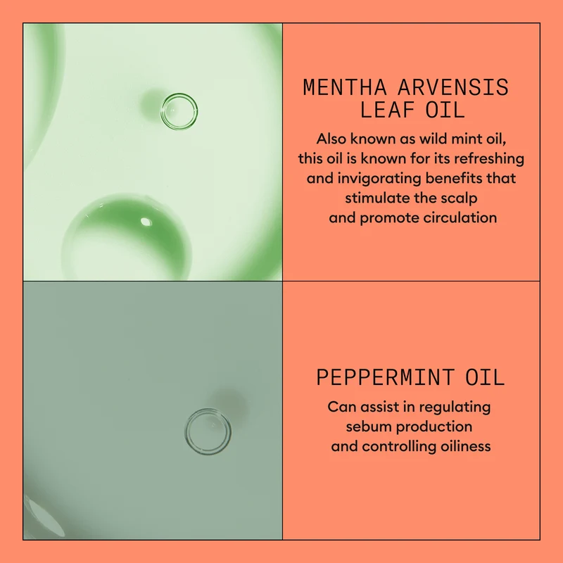 Nioxin System 4 Aufbereiter