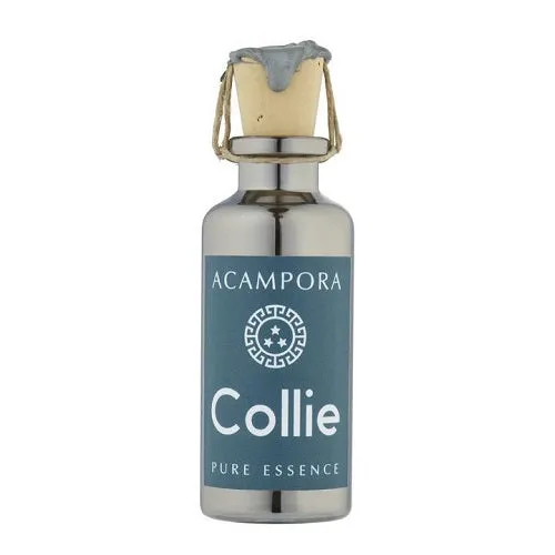 Acampora COLLIE Pure Essence