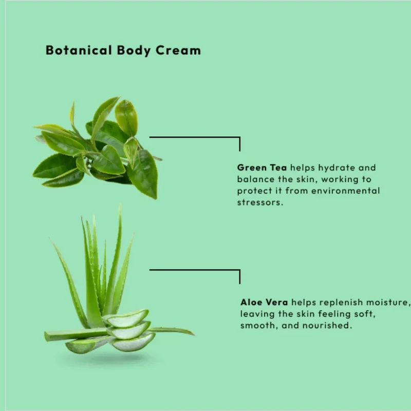 BCL SPA Green Tea Revive Body Cream (3 oz)
