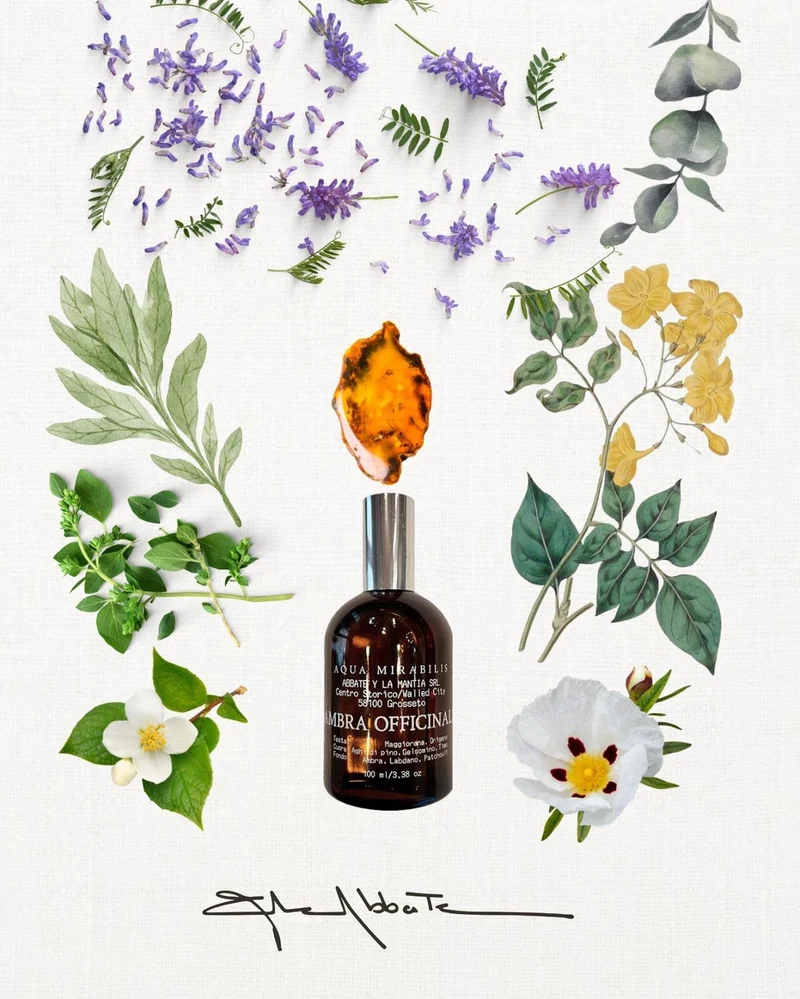 Aqua Mirabilis, Ambra Officinale, 100 ml.