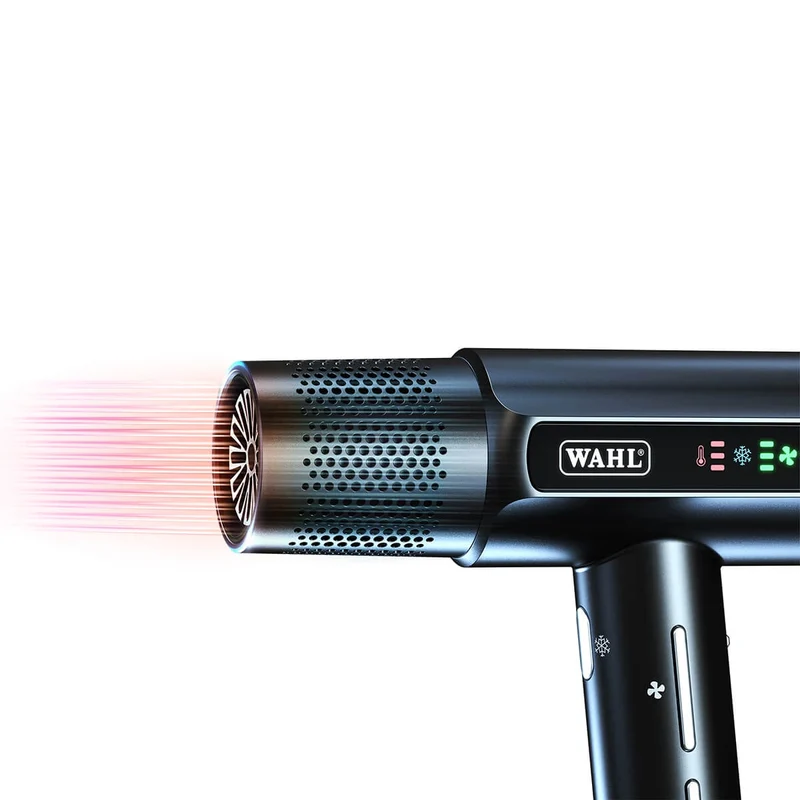 Vanquish Hair Dryer, 1600W